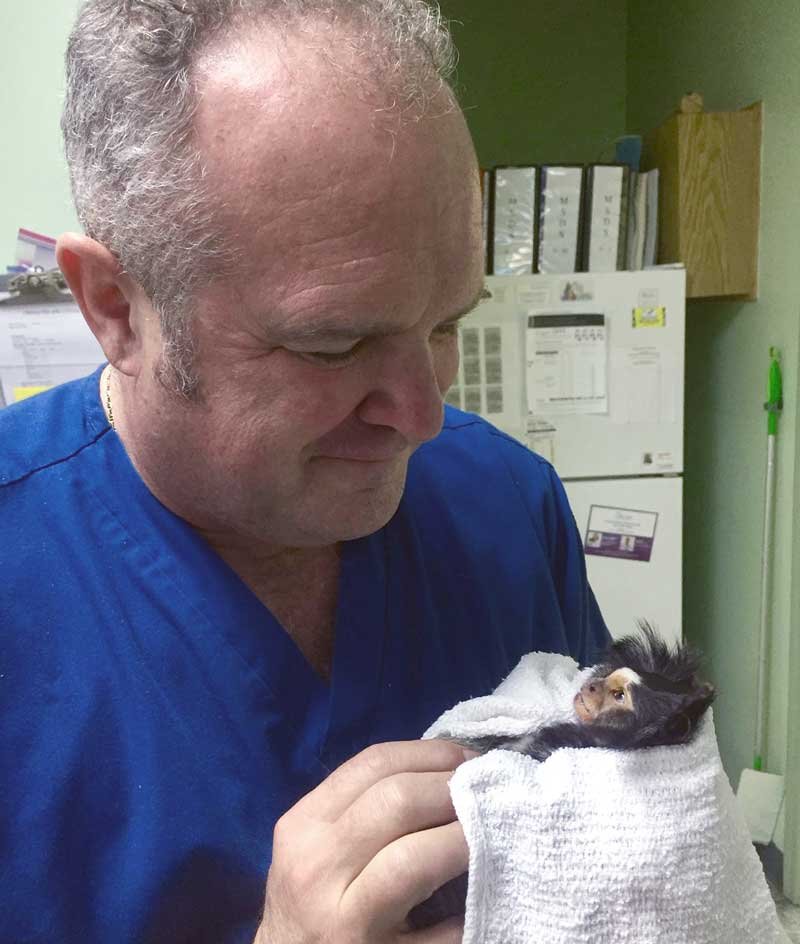 Frequently Asked Questions for Veterinarians