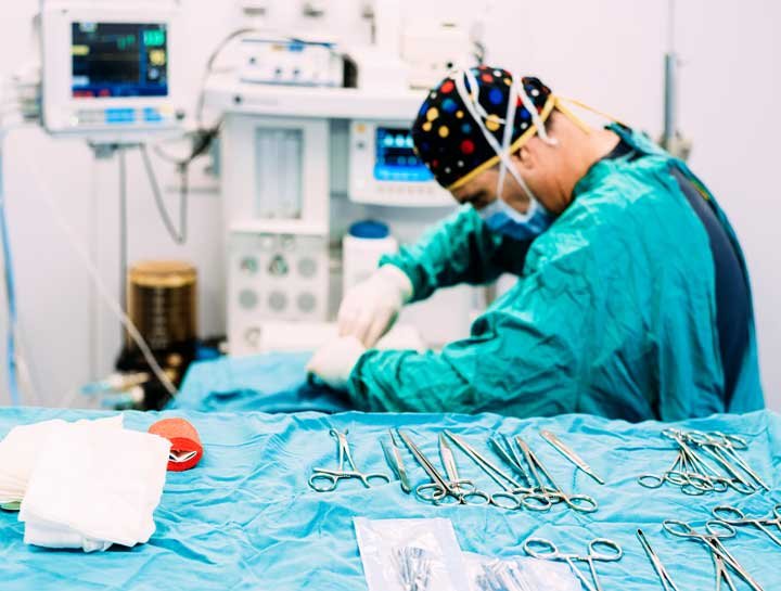 $city veterinary surgery